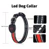 Blinking Flashing Pets Safety LED Adjustable Dog Collar